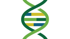 ASHG Announces 2022-2024 Human Genetics Scholars