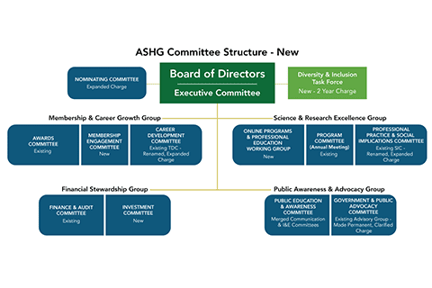 graphic-Committee-schematic-clusters