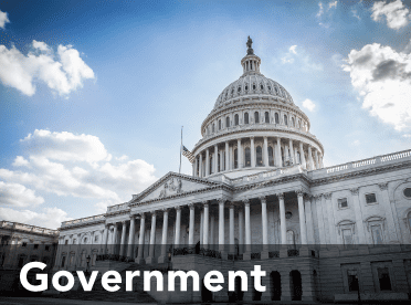 Government