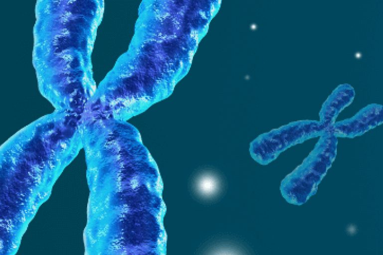 discover-genetics-card
