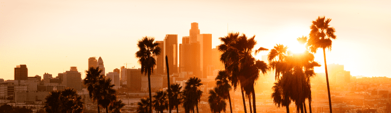 Beautiful sunset through the palm trees, Los Angeles, California.