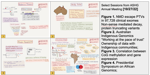 Select Sessions from ASHG Annual Meeting (10/27/22) Figure 1. NMD escape PTVs in 97,728 clinical exomes Non-sense mediated decay, protein truncating variants Figure 2. Australian Indigenous Genomics "Working at the pace of trust" Ownership of data with Indigenous communities; Figure 3. Correlation between CoG methylation and gene expression Figure 4. Presidential on African Genomics;