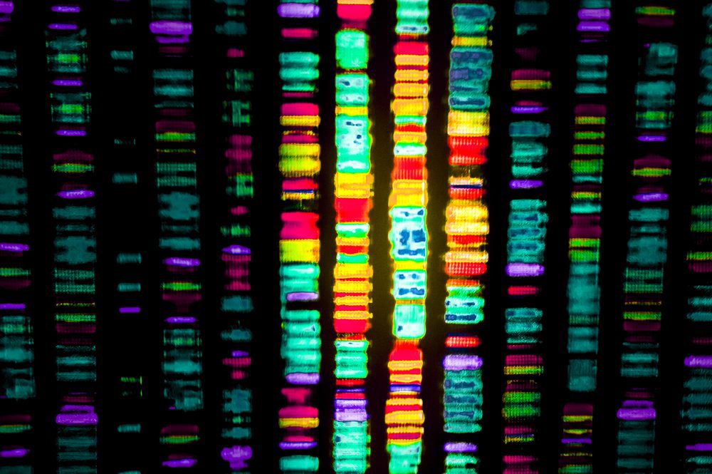 DNA Sequencing