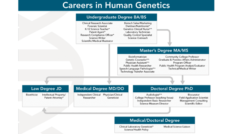 Graphic-Career-Flowchart-highlight